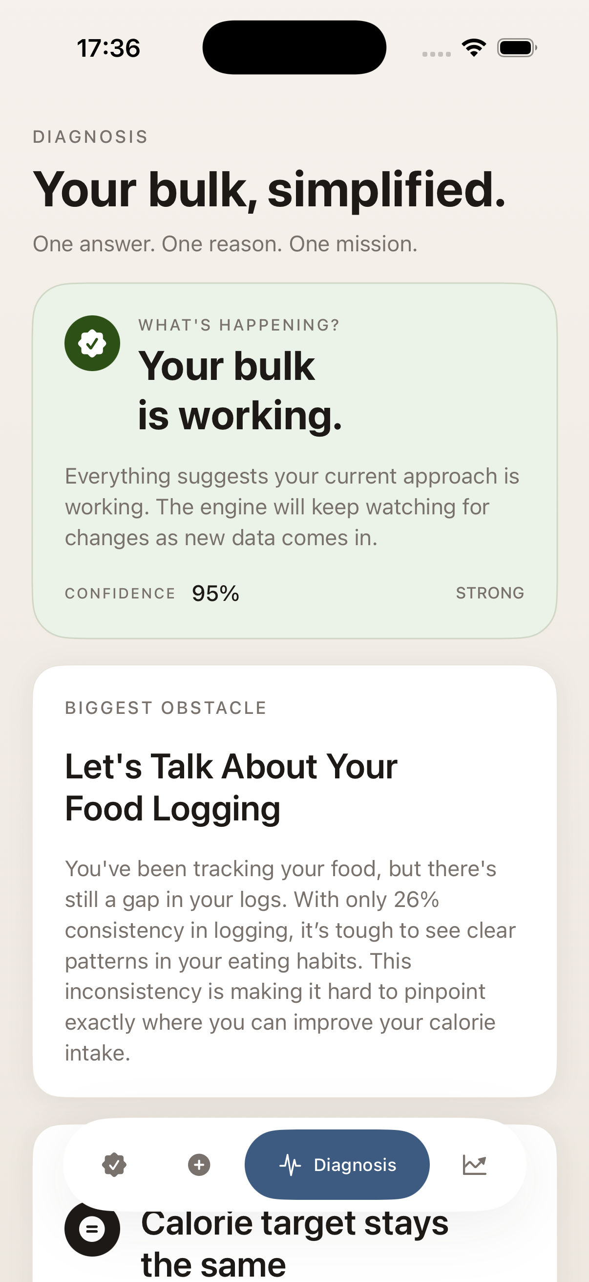 BulkBro diagnosis screen showing a clear bulk explanation